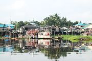 Foto: Cilts sievietes un saldūdens delfīnu meklējumi Borneo